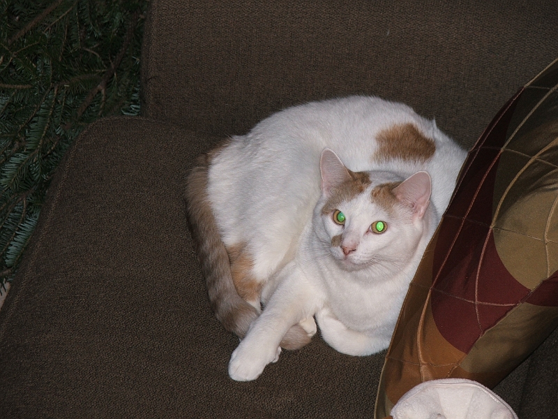 from_fuji_s5100 056.jpg